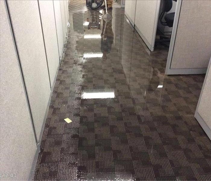  lights reflecting off soaked puddles on carpet
