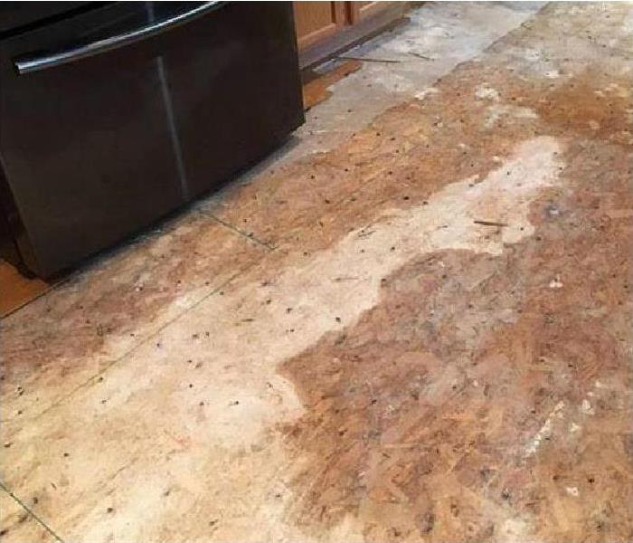 water damaged flooring in home