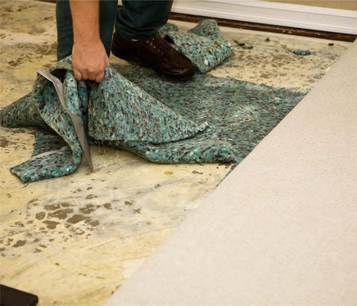 a SERVPRO technician pulling up water logged carpet